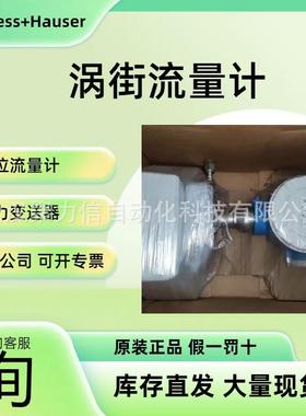 E+H 限位开关 音叉液位开关 液位计 FTL51B-AAA4ABAAA3BJI1VCJ+LA