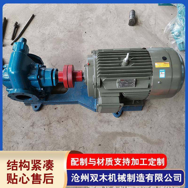 厂家加工2CY58/0.28电动小型润滑油输送泵齿轮泵机械生产,清洗/食品/商业设备,其他食品加工设备,淘宝优惠券,粉丝福利购,淘宝优惠卷