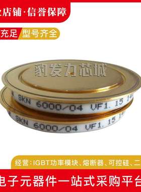 SKN6000/04 SKN6000/06平板晶闸管