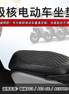 适用极核AE2 AE4 AE5 AE7 AE8 EZ3i EZ4等电动车防水皮革坐垫套