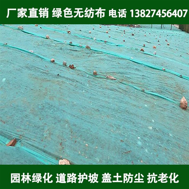 园林绿化绿色f无纺布整卷工地防尘盖土布草坪边坡护坡植草籽覆盖