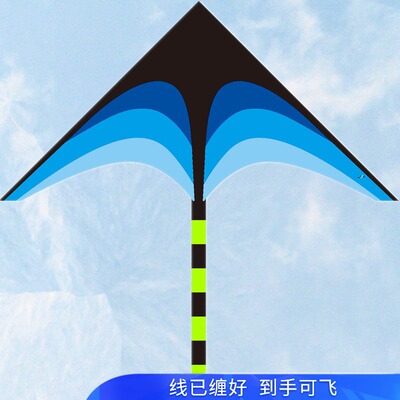 2021新款长尾巴大草原风筝儿童成人初学者微风易飞大.型高档亲子