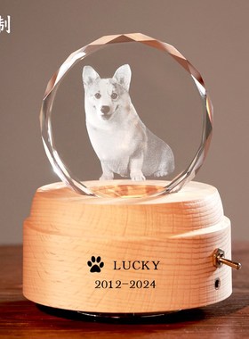 宠物纪念品定制创意礼物狗狗猫咪照片diy水晶灯相册W3D内雕送朋友
