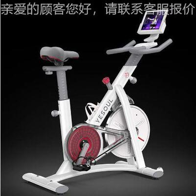 ESOUL动感单车家用运动健身器材室内健身车静音S1