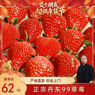 【交个朋友年货节】丹东草莓新鲜水果应季红颜99草莓九九牛奶草莓
