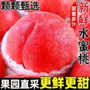 现摘水果脆甜春雪蜜桃大果孕妇整箱 新鲜露天水蜜桃10斤毛桃子当季