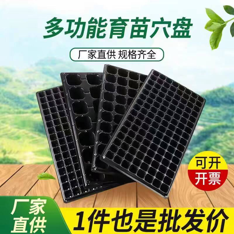育苗盘穴盘育苗盆育苗盒营养钵营养杯育苗器专用塑料培育箱 批发