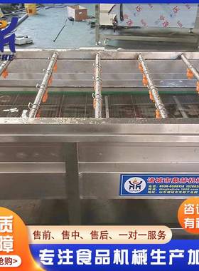 商用不锈钢清气泡菜洗线 高压净喷淋苹果设备 蕨菜去YAJ泥清洗机