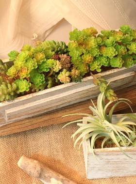 厂 2微4叉仙人棵 室内绿植墙 假花仿真花 景MW17664家观多肉仿M真