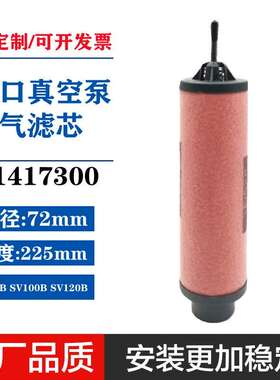 97131120/21莱宝真0空泵油气分离SV30B过排气滤芯SV4750BJXB油雾