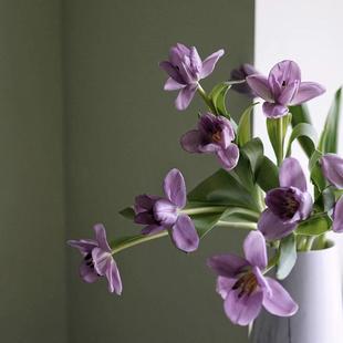 冬日一帘幽梦紫色郁金香鲜花家居办公餐桌茶几装 饰插花商务送花