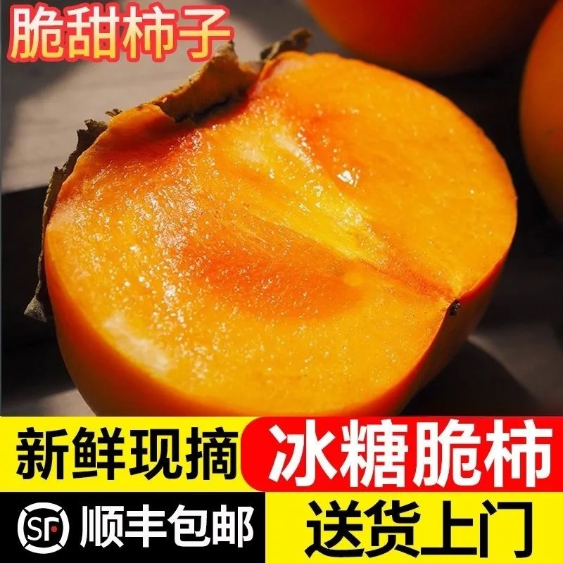 【顺丰可选】正宗次郎巧克力脆柿子新鲜水果当季硬甜柿子富有吉柿,水产肉类/新鲜蔬果/熟食,柿子,淘宝优惠券,粉丝福利购,淘宝优惠卷