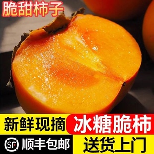 【顺丰可选】正宗次郎巧克力脆柿子新鲜水果当季硬甜柿子富有吉柿