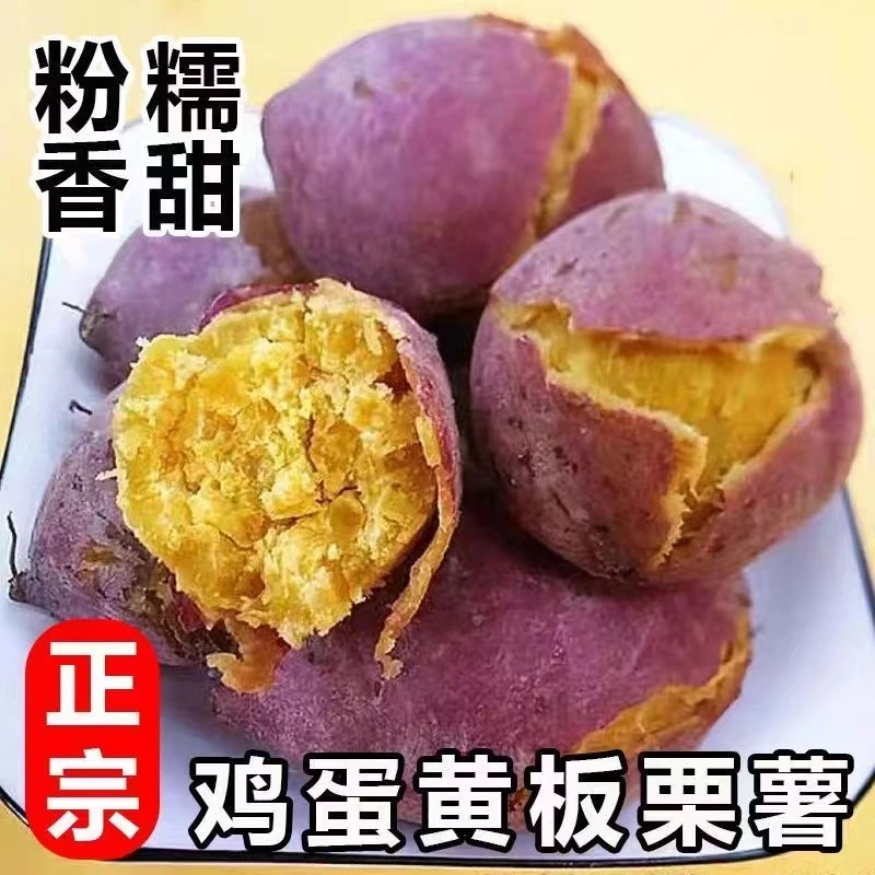 新鲜板栗红薯5斤蛋蛋果临安天目山小香薯鸡蛋圆番薯农家自种地瓜W,水产肉类/新鲜蔬果/熟食,番薯,淘宝优惠券,粉丝福利购,淘宝优惠卷