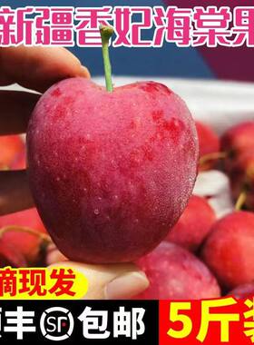 顺丰正宗新疆香妃海棠果鸡心果5斤冰糖小苹果孕妇当季新鲜水果W3