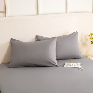 防水隔尿枕套单只装48cm*74cm家用高端一对装枕皮枕头套拉链款