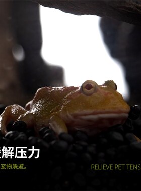 SuperRep爬宠真岩石躲避洞穴仓鼠玩具蛇守宫鬃狮乌龟爬虫箱造景