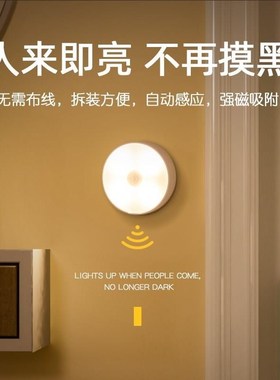 天黑自动亮灯小夜灯特殊照明白天不亮晚上亮灯迷你卧室微光感应