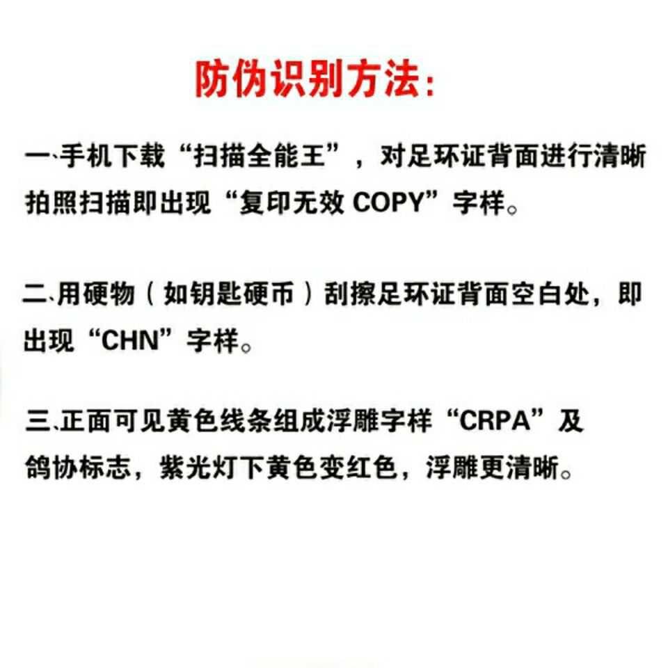 广东正规信鸽足环2023年全国统一环23年常规足环鸽子脚环可下公棚