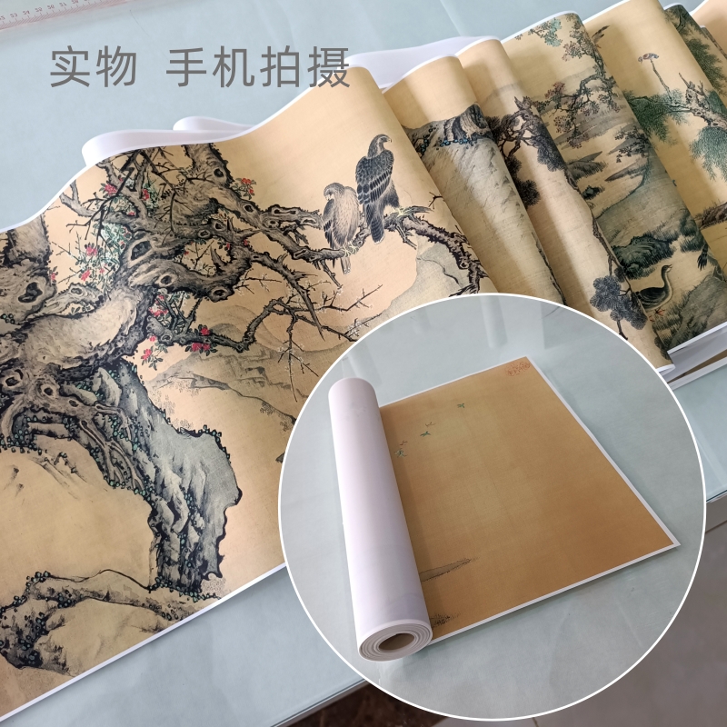 清 沈铨《百鸟朝凤》国画长卷宫廷画工笔花鸟画高清微喷复制