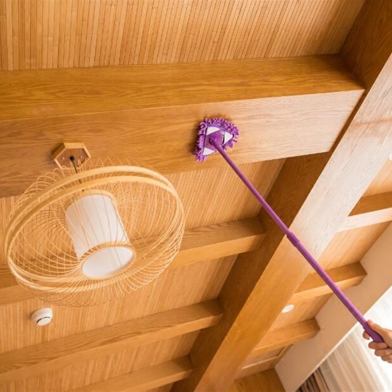 伸缩杆除尘客厅长柄可爱儿童迷你擦黑板神器拖把轻便便携式小拖把