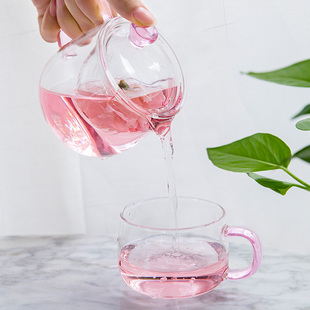 雅集颜品壶耐热玻璃家用泡茶壶煮茶壶煮茶器网红过滤W办公迷你茶