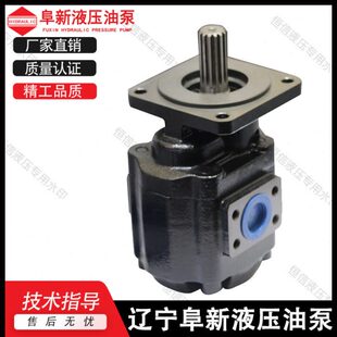 F160 F80 F140 F100 铸铁高压油泵 F134 合肥阜新液压齿轮泵P7600