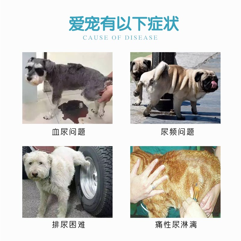 希淋汀 八正散利尿通淋大梆动保宠物泌尿系统尿结石结晶希林丁