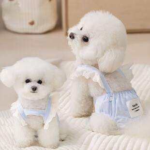 狗狗生理裤纯棉提花透气安全裤防骚扰母狗月经裤四季宠物纸尿裤