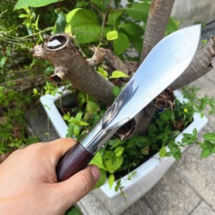 小鏟子園林藝挖野菜鐵鏟大蒜種花養(yǎng)花工具趕海家農(nóng)用種菜工具多肉