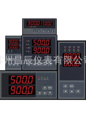 XSD2-BRT4A1B1M2V0双通道数显表 LED数字显示报警仪器 控制仪器