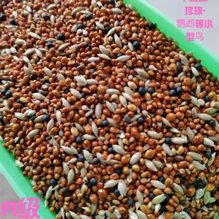 七彩文鸟芙蓉鸟金丝雀鸟珍珠鸟十姐妹保姆鸟鹦鹉鸟食混合粮饲料