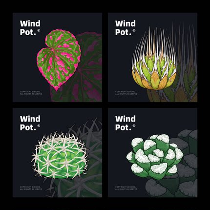 Wind Pot 原创冰箱贴磁贴植物冰箱贴蝴蝶兰植物创意磁贴3.0