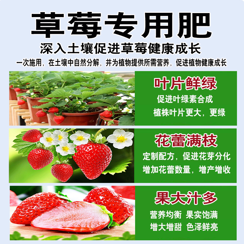 草莓专用肥料家用室内种植盆栽草莓颗粒水溶肥膨大增甜有机复合肥