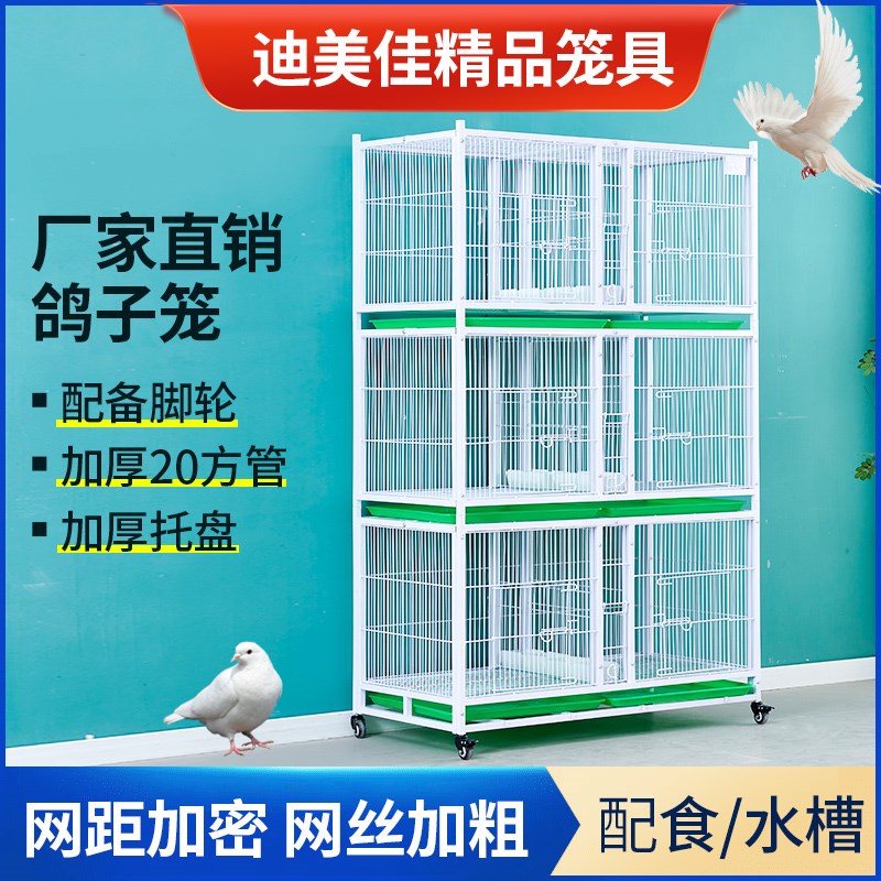 鸽子笼鸟笼鹦鹉笼鸡笼加粗加密鸽子笼防黄鼠狼公棚鸽舍鸽子配对笼