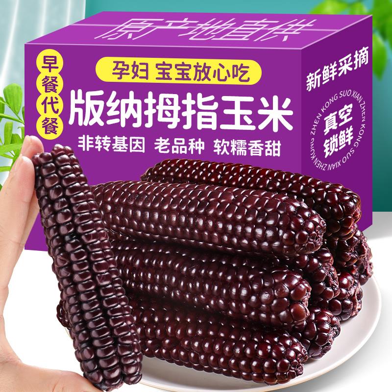 云南西双版纳香糯拇指小玉米新鲜手指嫩紫糯玉米真空黏玉米棒特产