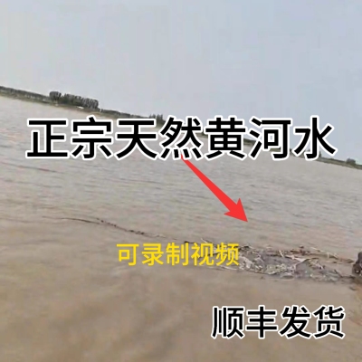 正宗黄河水母亲河水现取天然黄河浑水带泥沙土养殖无污染