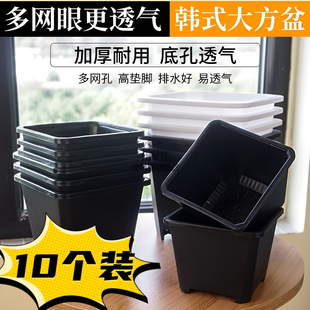 黑白方盆多肉花盆景天盆塑料加厚硬质室内阳台黑方正方形花盆景