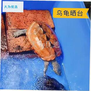 心红砖块花园铺地砌垒墙理疗砖B垫压物农村盖房乌龟晒台建筑建材.