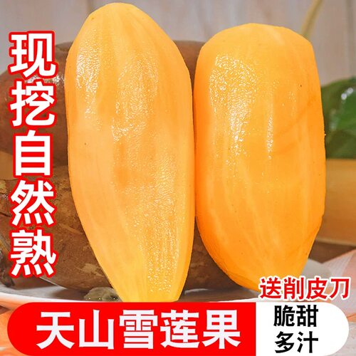 云南天山雪莲果当季现挖整箱新鲜水果脆甜红心雪连果时令大果