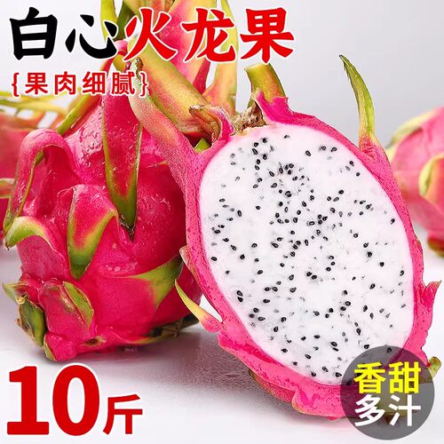 白心火龙果新鲜10斤当季现摘热带水果云南高山白肉火龙果整箱包邮