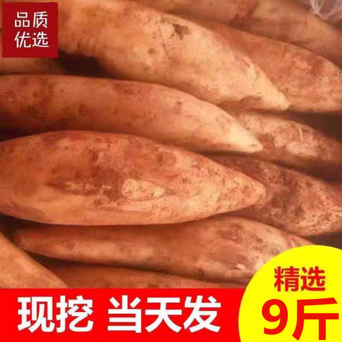 天山雪莲果新鲜水果应当季云南孕妇红心雪连果斤黄心特整箱包邮9