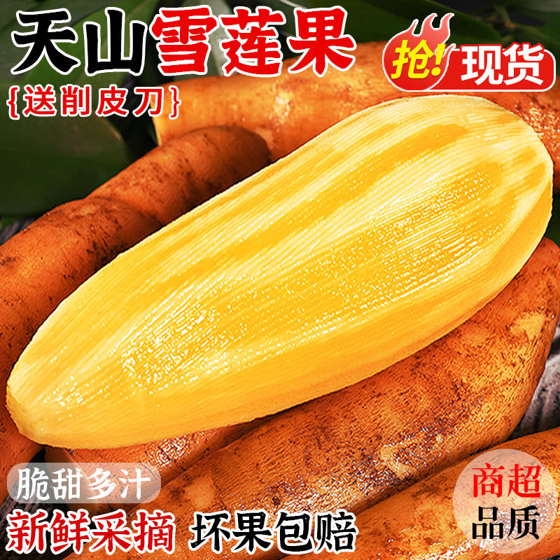 云南天山雪莲果新鲜水果当季水果清甜清脆整箱特选黄心水果雪连果