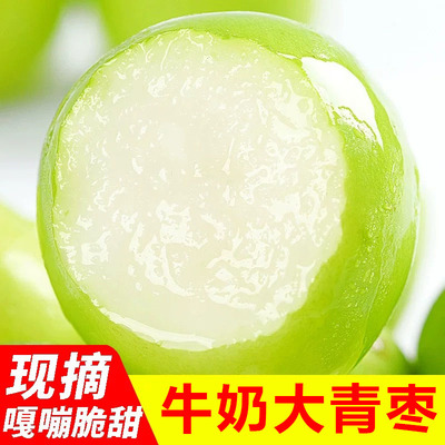 牛奶大青枣云南贵妃奶枣