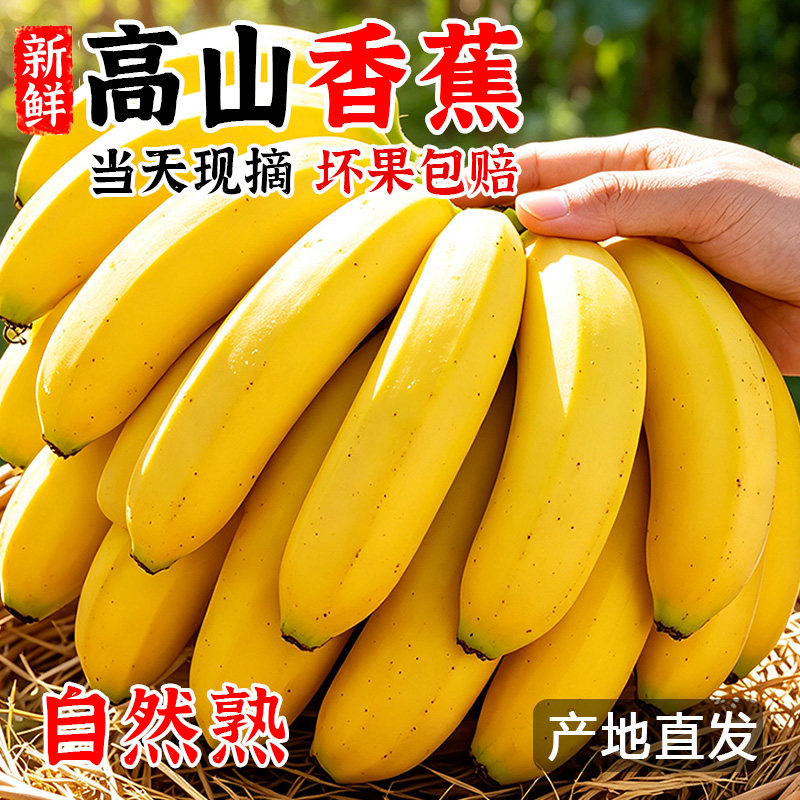 高山香蕉新鲜水果当季现摘香甜软糯口感大芭蕉小米蕉皇帝蕉