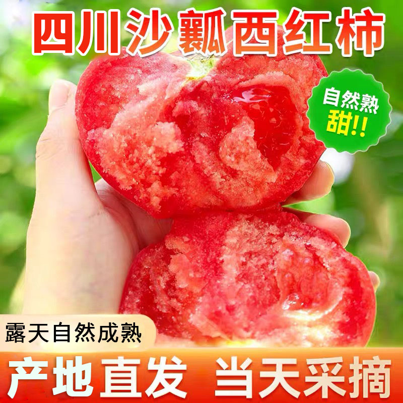 正宗新疆品种自然熟沙瓤西红柿9斤普罗旺斯现摘新鲜水果蔬菜番茄