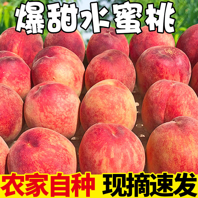 现摘现发正宗水蜜桃毛桃脆甜新鲜桃子脆甜桃子当季水果