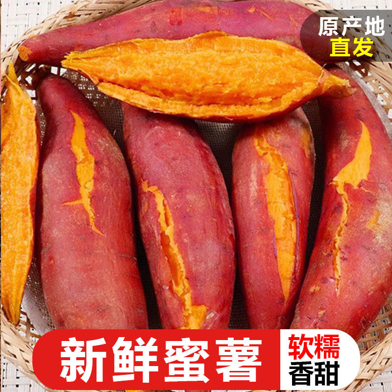 新鲜蜜薯10斤板栗红薯沙地糖心地瓜农家自种番薯现挖红心香薯山芋