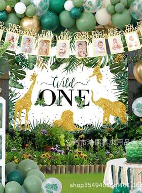 宝宝周岁ONE动物森林气球盒子NEWBORN1-12月照片墙大气球盒装饰套