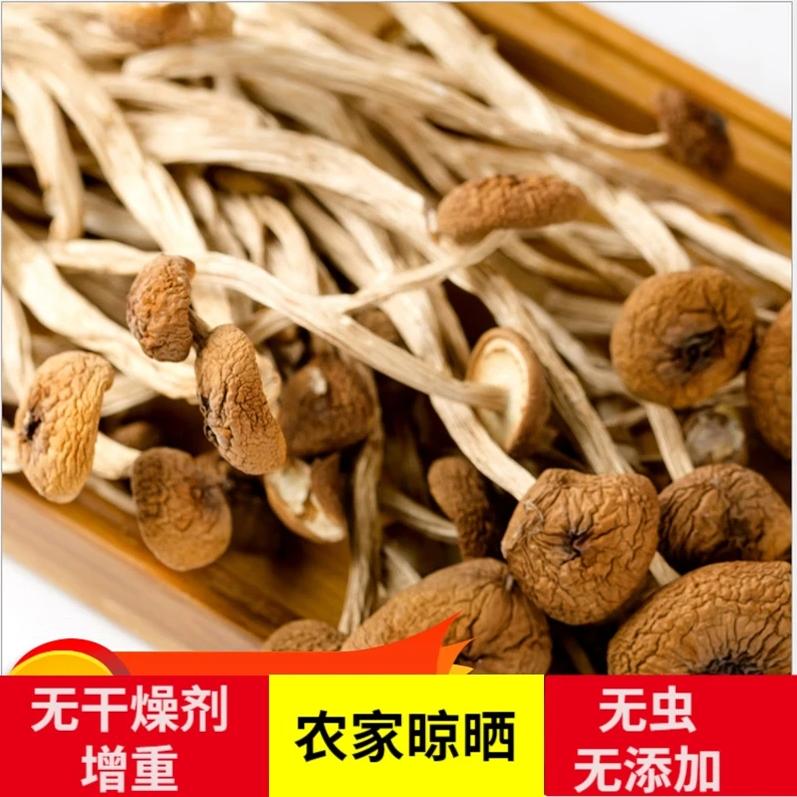 新货不开伞茶树菇干货 农家菌菇特产非去根鲜菇香菇